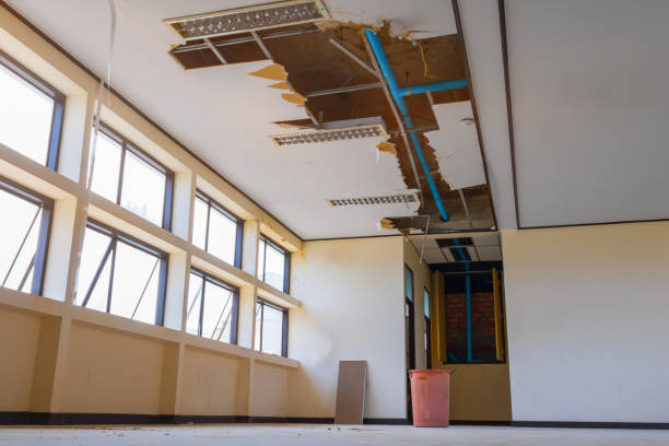 Best Emergency water damage restoration  in Rugby, ND