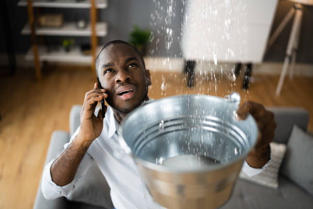 Best Water damage restoration near me  in Rugby, ND