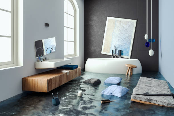 Best Carpet water damage restoration  in Rugby, ND