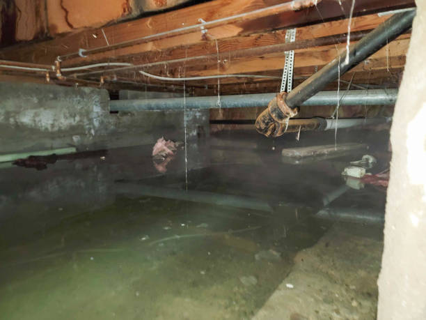 Best Flood damage cleanup  in Rugby, ND