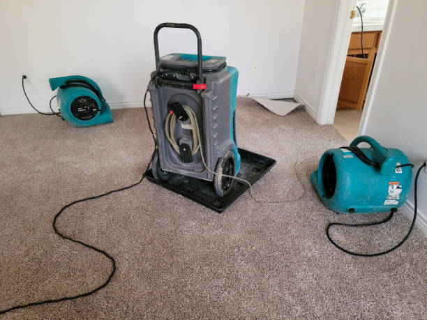 Best Professional water damage repair  in Rugby, ND