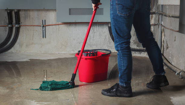 Best Flood restoration services  in Rugby, ND