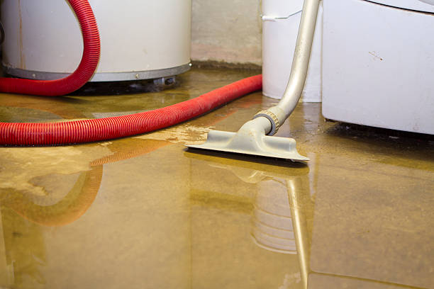 Best Residential water damage restoration  in Rugby, ND