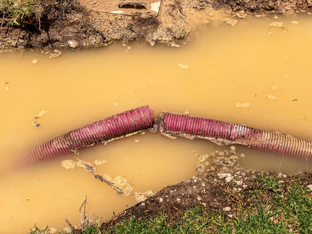 Best Basement water damage restoration  in Rugby, ND